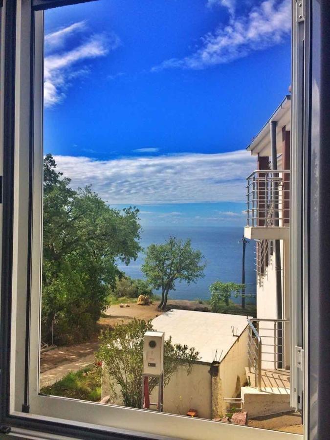 Sea View House Zagradje Apartment บาร์ ภายนอก รูปภาพ